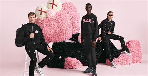 i : Kaws X Dior 